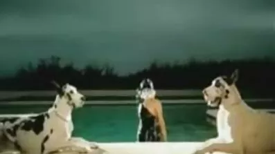 అమ్మాయి ఒక కాలం విరిగింది, కానీ తెలుగు సెక్స్ సెక్స్ తెలుగు సెక్స్ అప్పుడు అడవిలో కుడుచు అంగీకరించింది